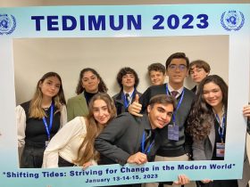 tedimun4