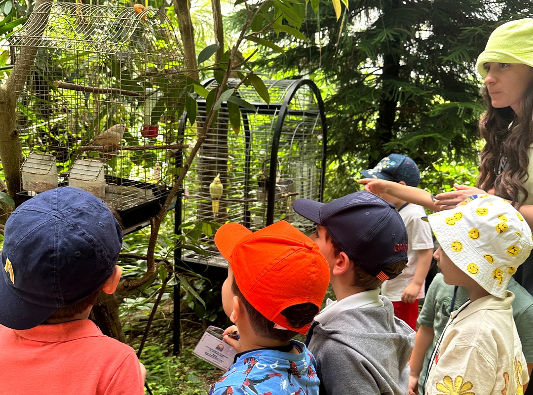 Our Kindergarten students visited the Butterfly Farm