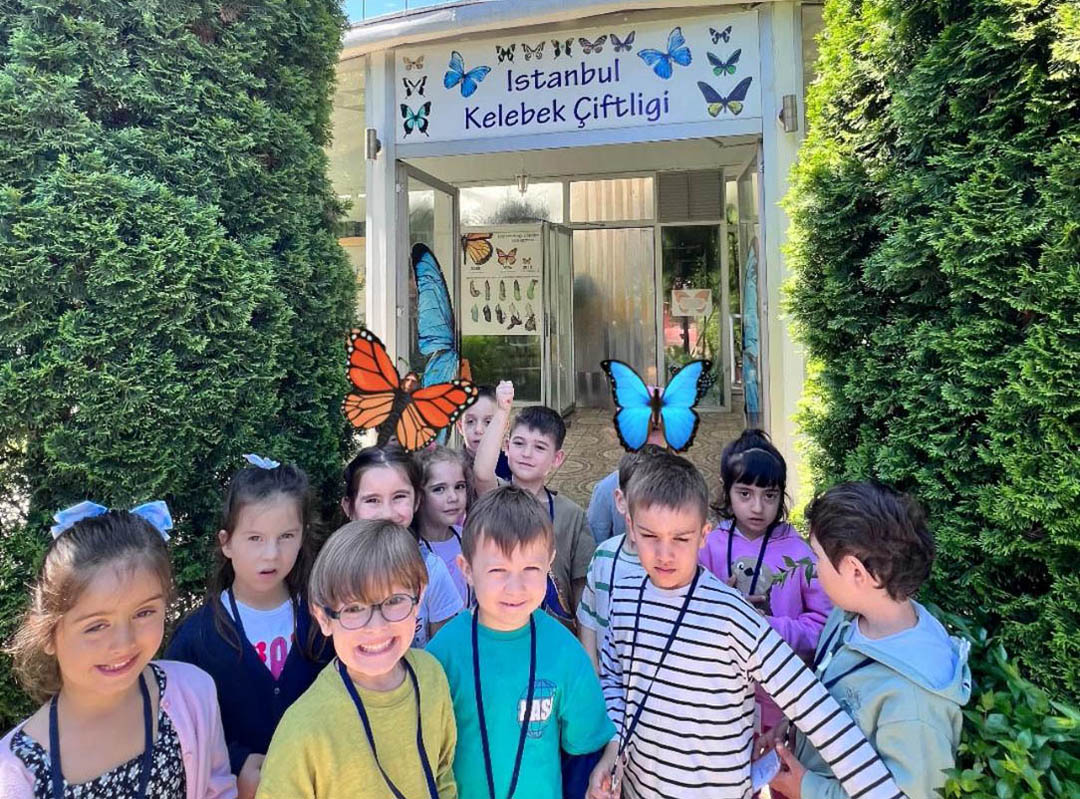 The Dance of Their Wings: A Colorful Journey through a Butterfly Farm