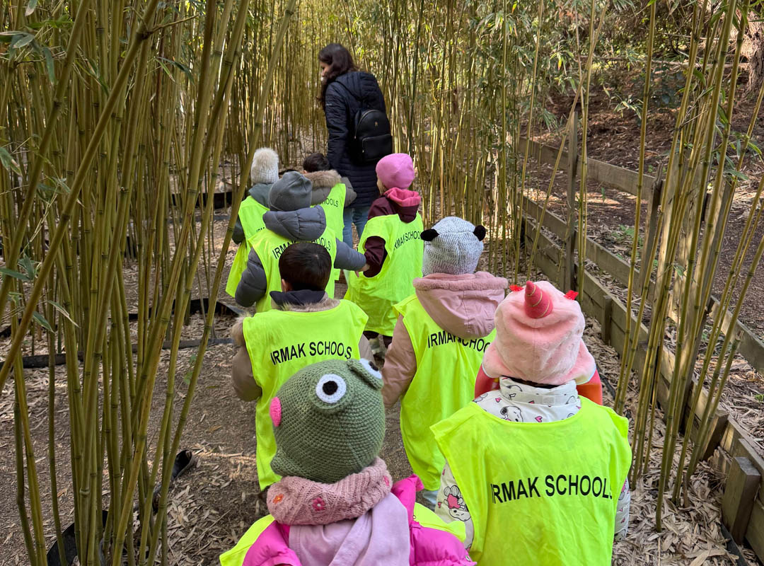 Our Journey into Nature!