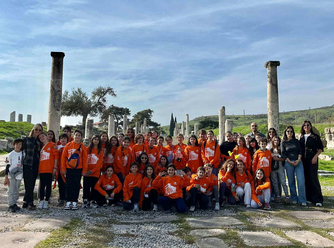 Ions in the Light of Science