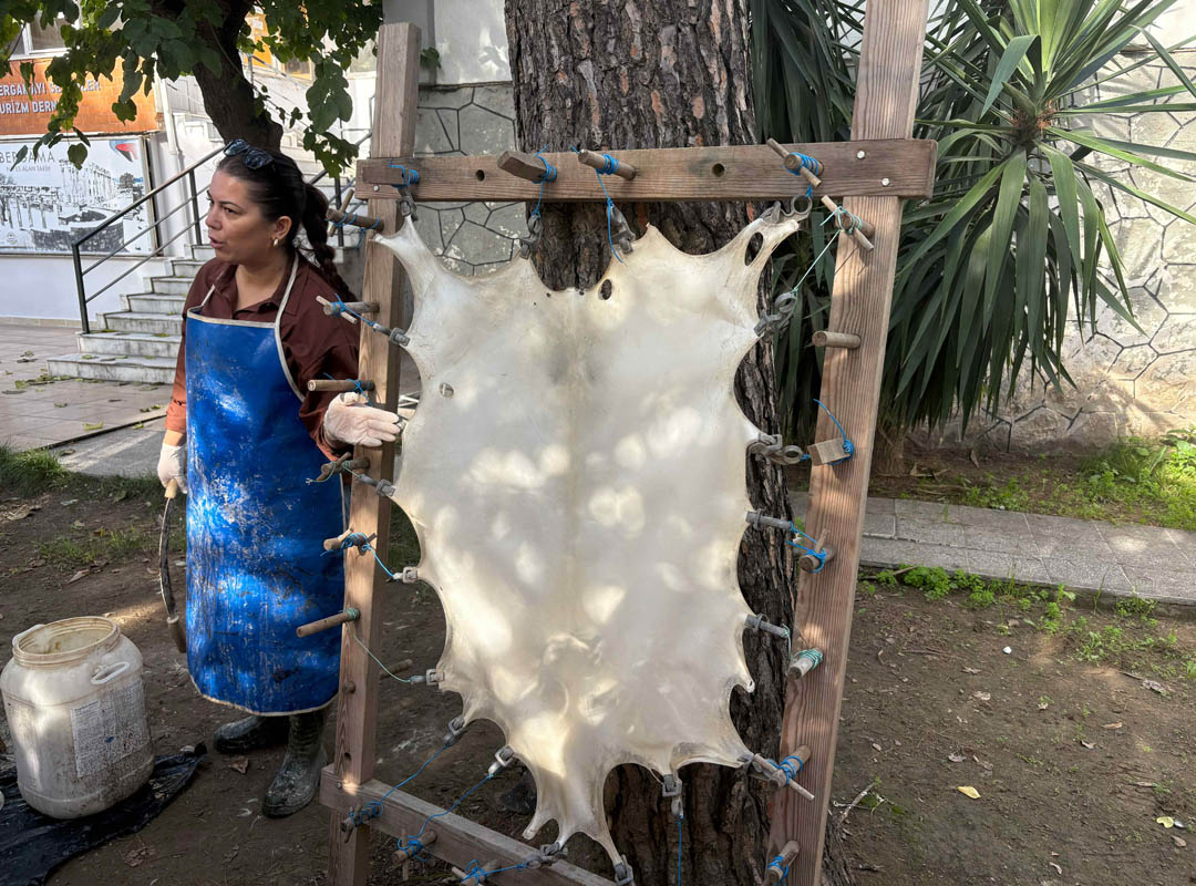 Bilimin Işığında İyonlar-07