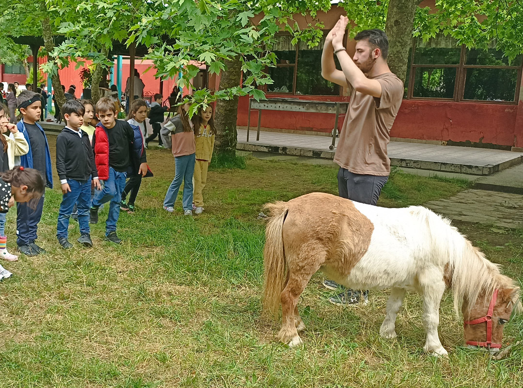 1st Grade Stables Field Trip