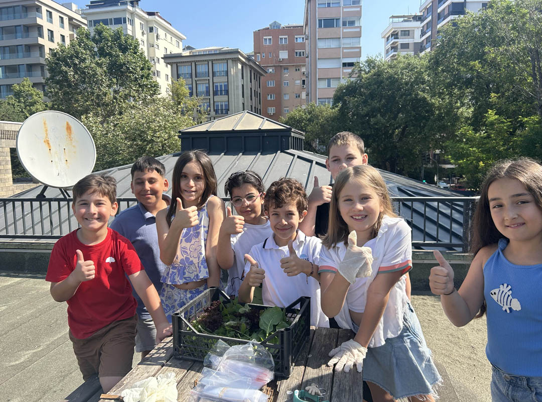 Fruit and Vegetable Growing Activity