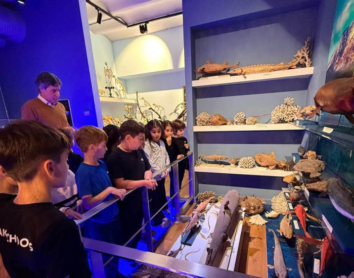 İkinci  Sınıflar Saint Joseph Doğa Bilimleri Müzesi Gezisi