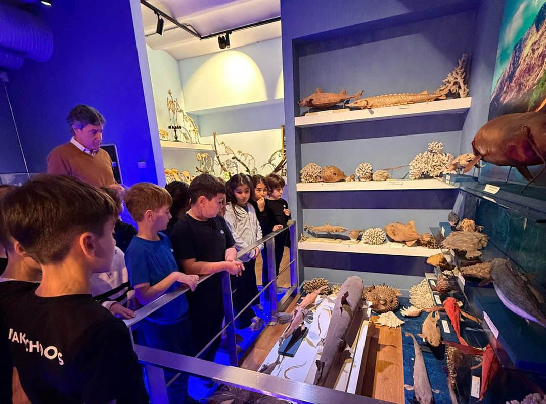 2nd Grade Saint Joseph Natural Science Museum Trip