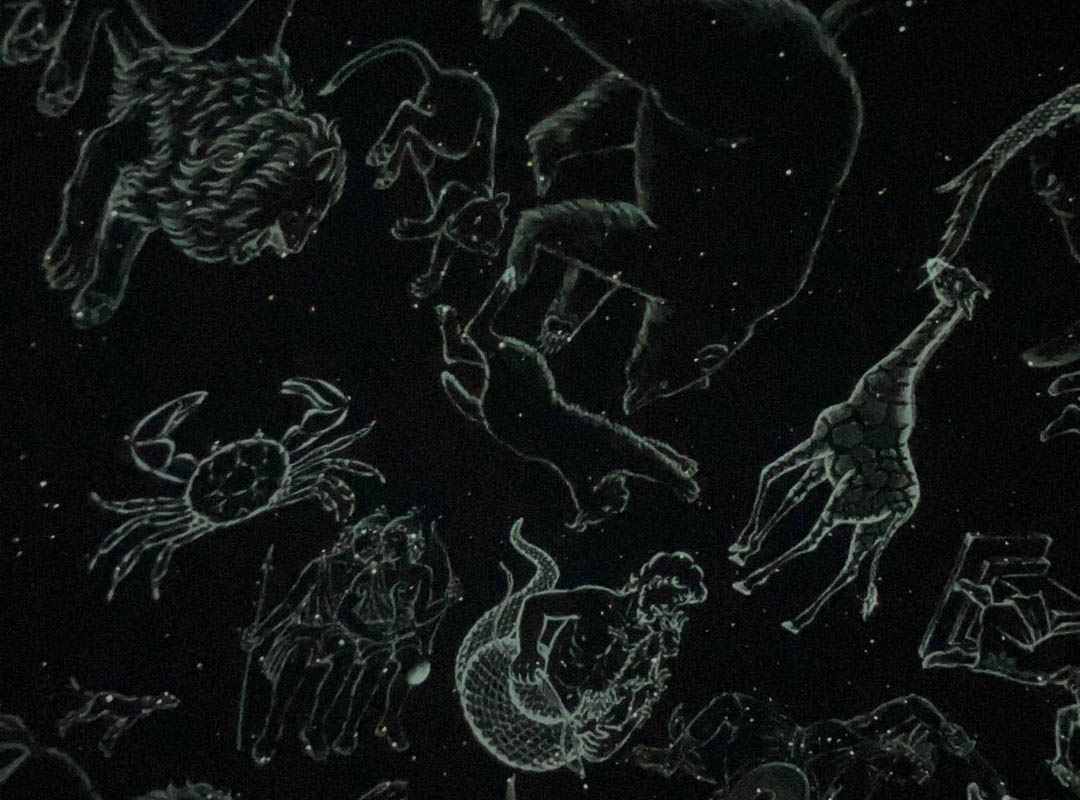 Belde Bilim Merkezi Gezisi-10 Belde Bilim Merkezi Gezisi-10