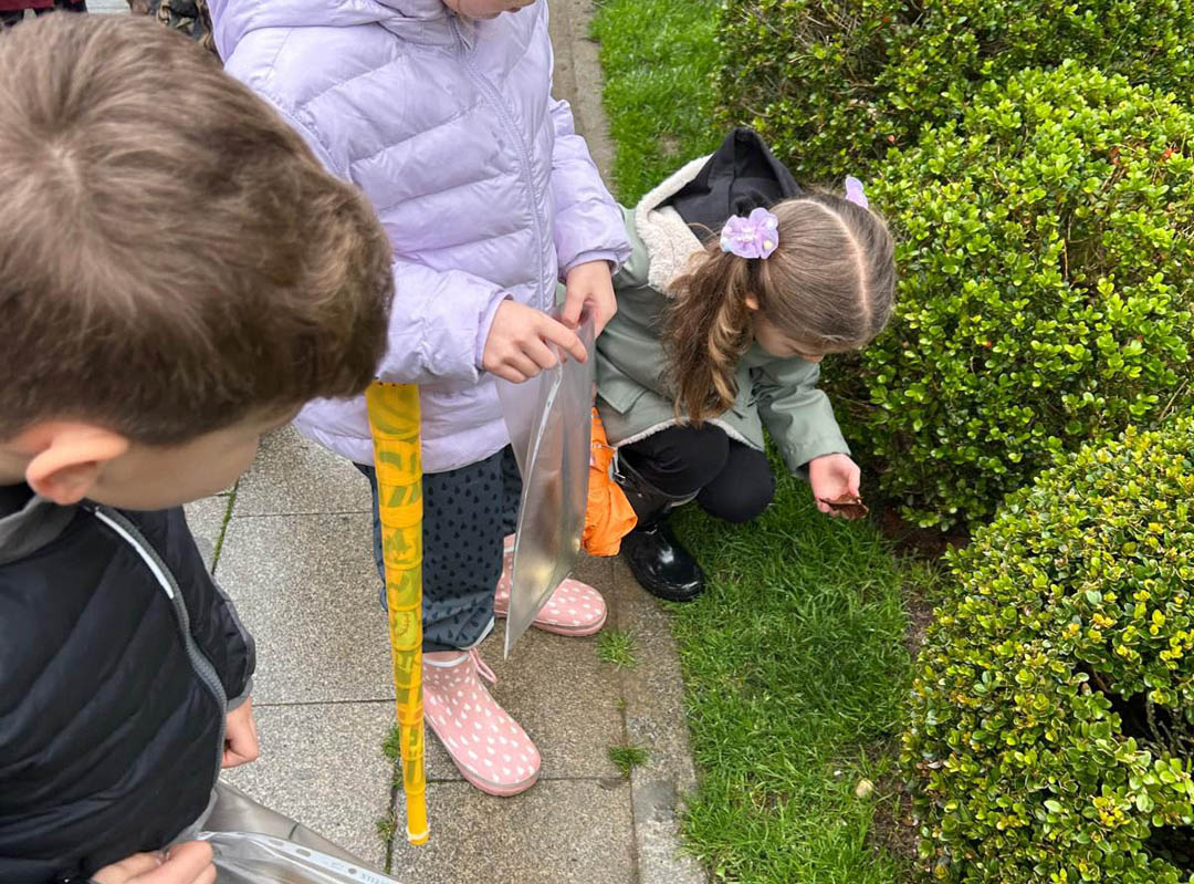Göztepe Parkı Keşif Gezisi-2 Göztepe Parkı Keşif Gezisi-2